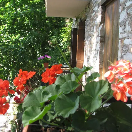 Πανσιόν παλιός σταθμός 4*