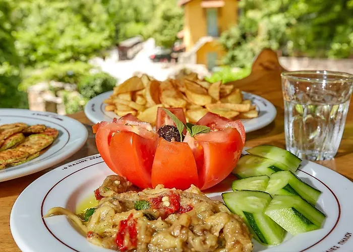 Pensiune Palios Stathmos