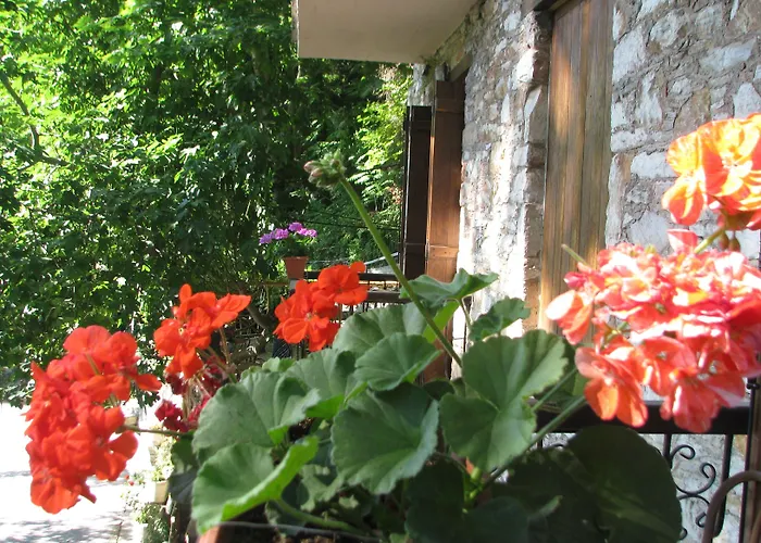 Pensiune Palios Stathmos 4*