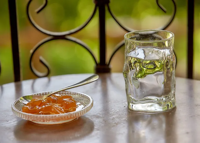 Palios Stathmos Pensiune